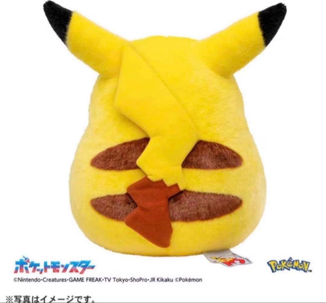 s*o様 ポケモン30周年記念おかえり!ピカチュウ1/1