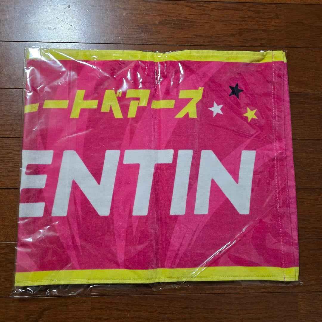 【新品未使用品】ルチアーノヴィセンティン タオル