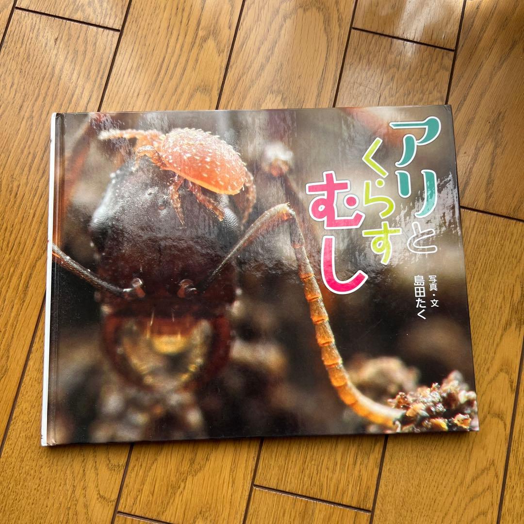絵本