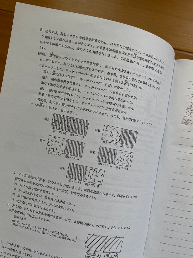 【中学受験】エルカミノ新小6年夏期入試対策講座テキスト3教科5冊セット