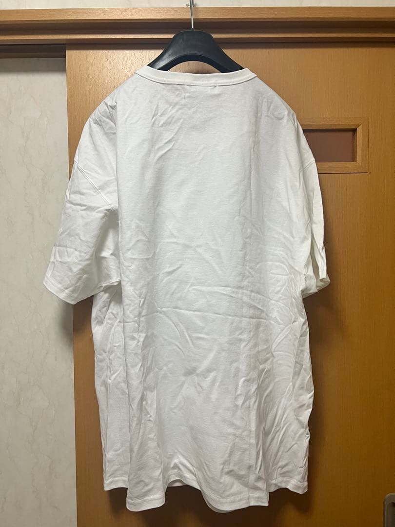 TRANSPORT T-SHIRT XL Championボディ　月桂樹