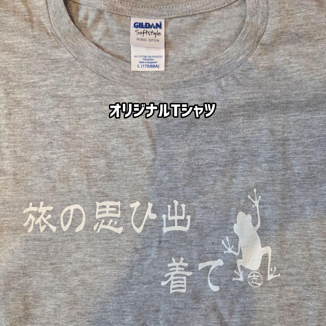 オリジナルT シャツとジェネリック42インチ
