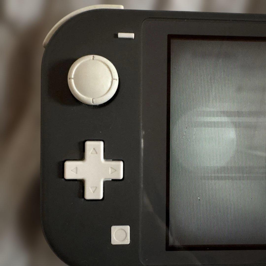 Nintendo SwitchLite グレー ジャンク品