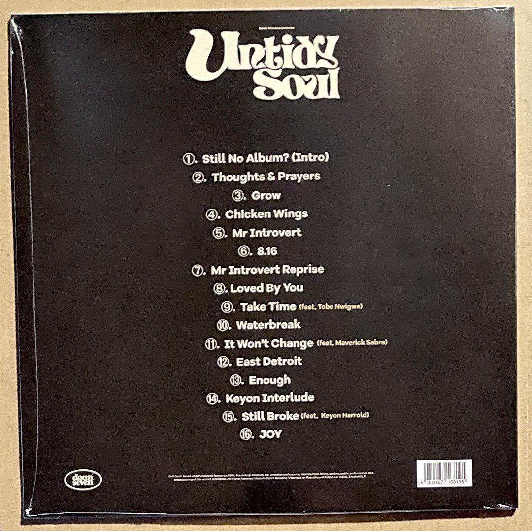 Samm Henshaw Untidy Soul アナログ盤 新品 送料込