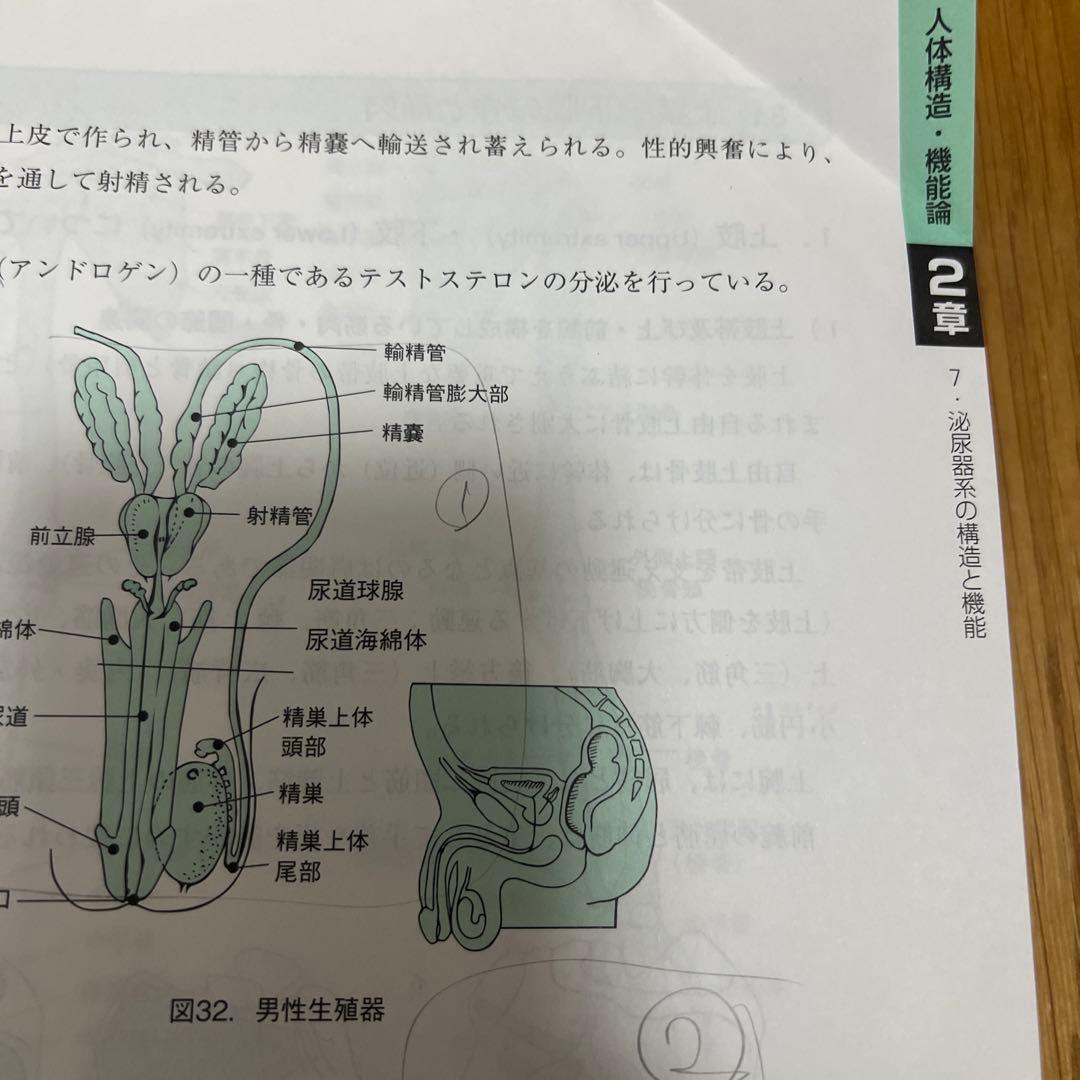 診療情報管理 : 診療情報管理士テキスト 1 (基礎・医学編)
