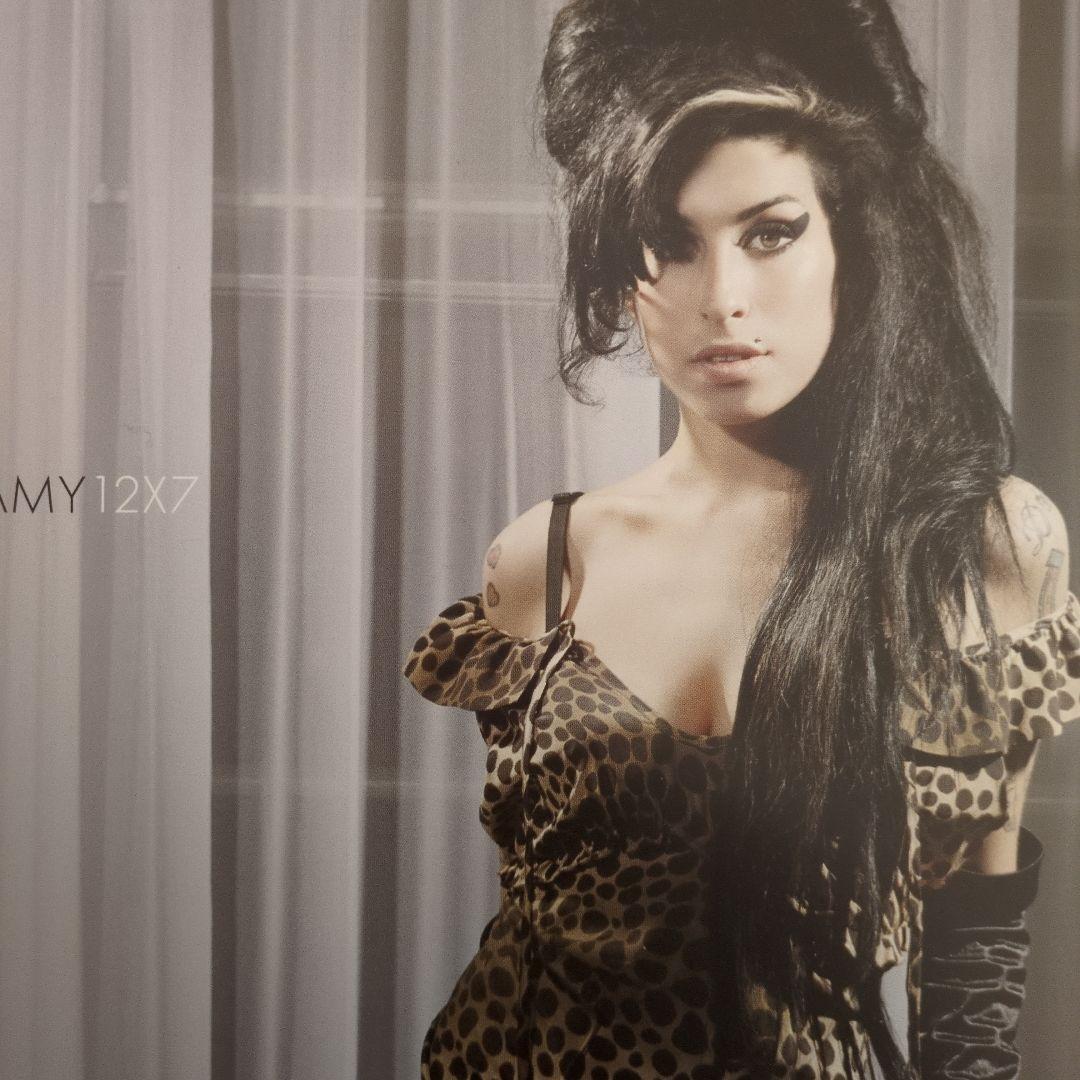 AMY winehouse 12X7 レコード　廃盤
