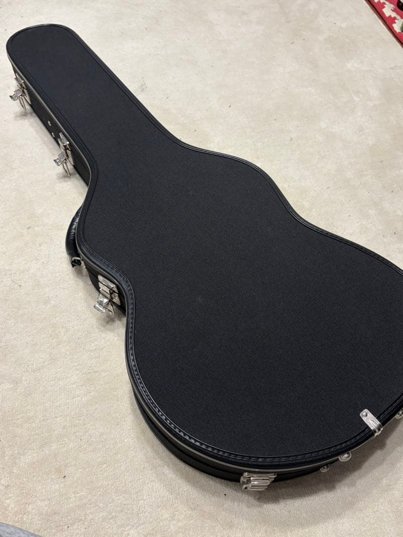 ギター fano guitars alt de fact gf-6