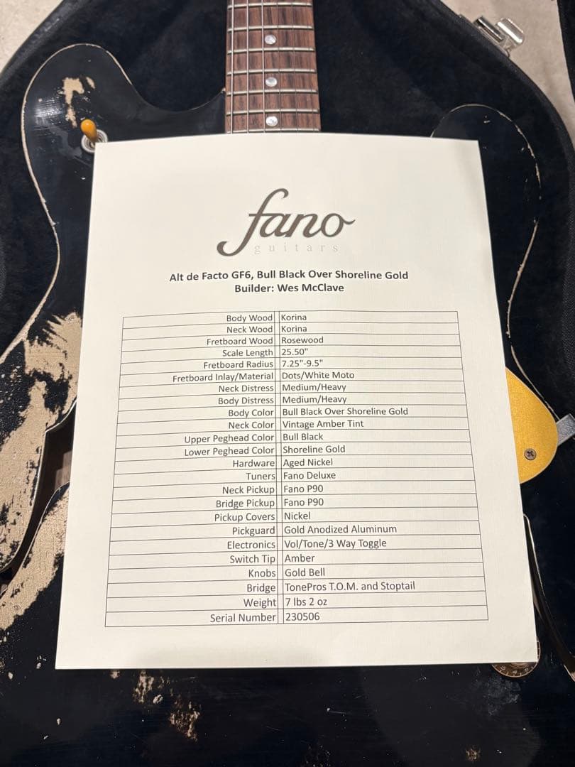 ギター fano guitars alt de fact gf-6