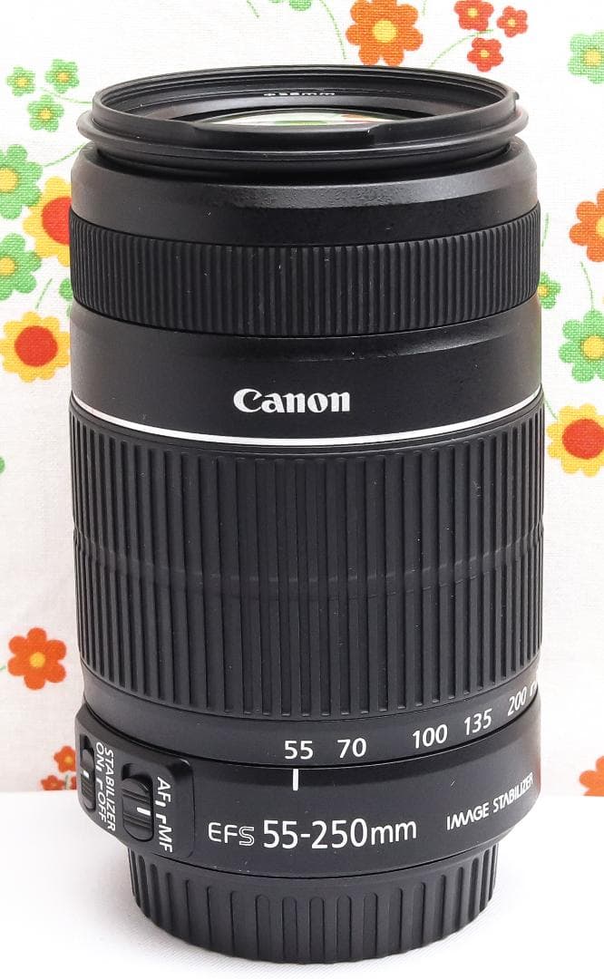 Canon EF-S 55-250mm IS Ⅱ☆手振れ補正☆望遠レンズ
