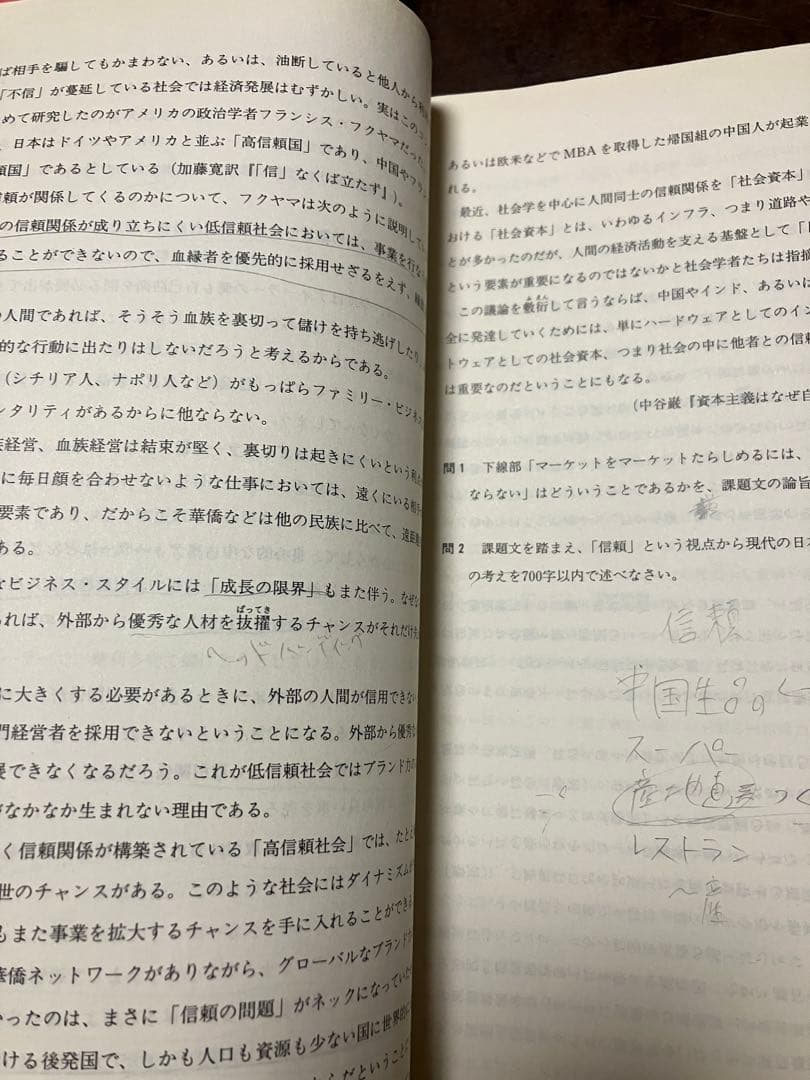 河合塾 全統論文模試 2009 第Ⅱ部問題冊子 解答解説集全問題別成績優秀者掲載