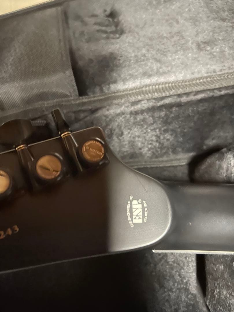 「エイ」HORIZON E-II FR-II Black Sunburst