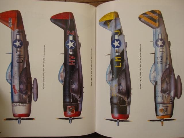 洋書 THUNDERBOLT From Seversky to Victory