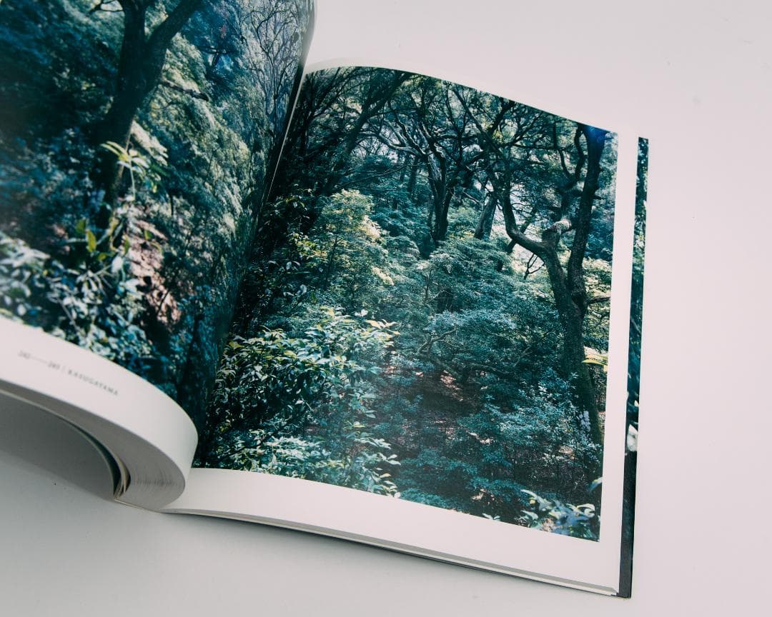 上田義彦写真集 FOREST 印象と記憶 1989-2017