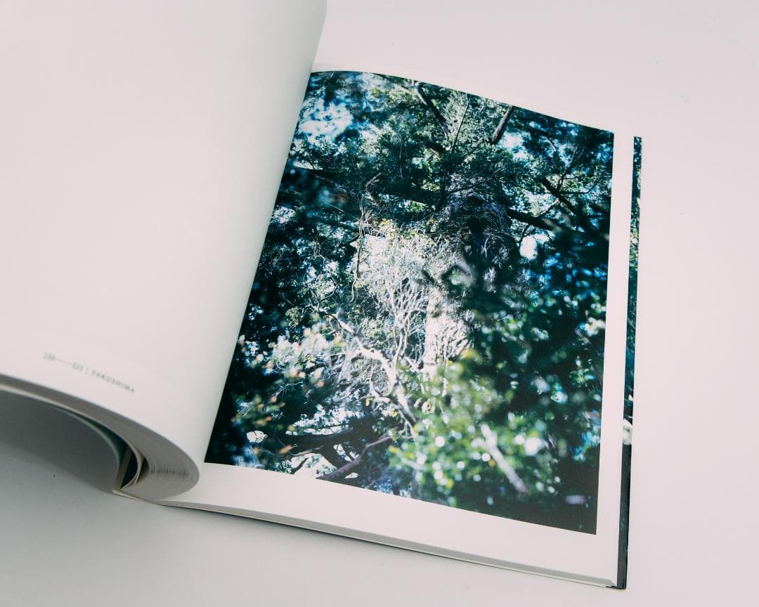 上田義彦写真集 FOREST 印象と記憶 1989-2017