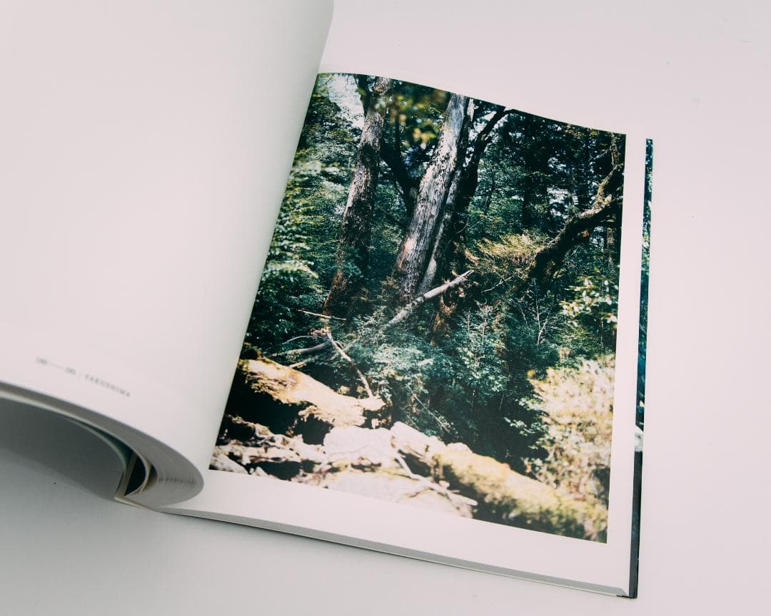 上田義彦写真集 FOREST 印象と記憶 1989-2017