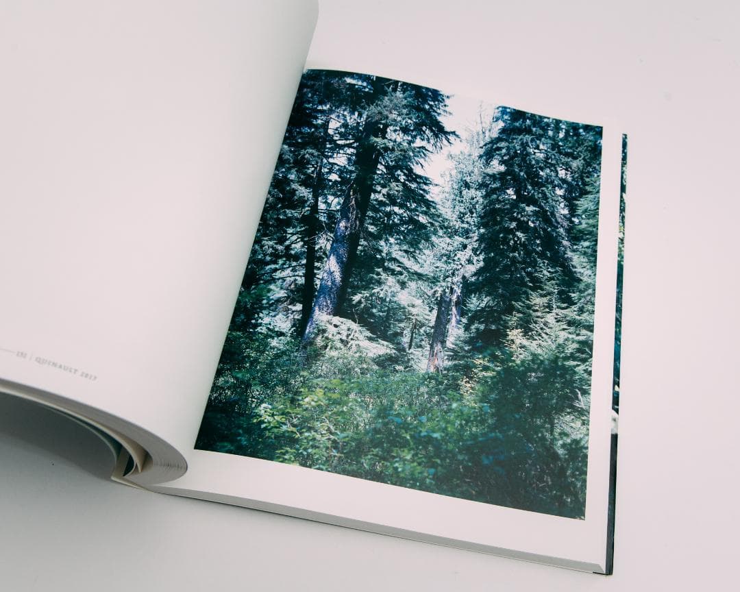 上田義彦写真集 FOREST 印象と記憶 1989-2017