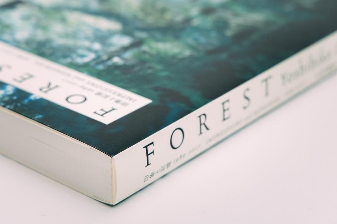 上田義彦写真集 FOREST 印象と記憶 1989-2017