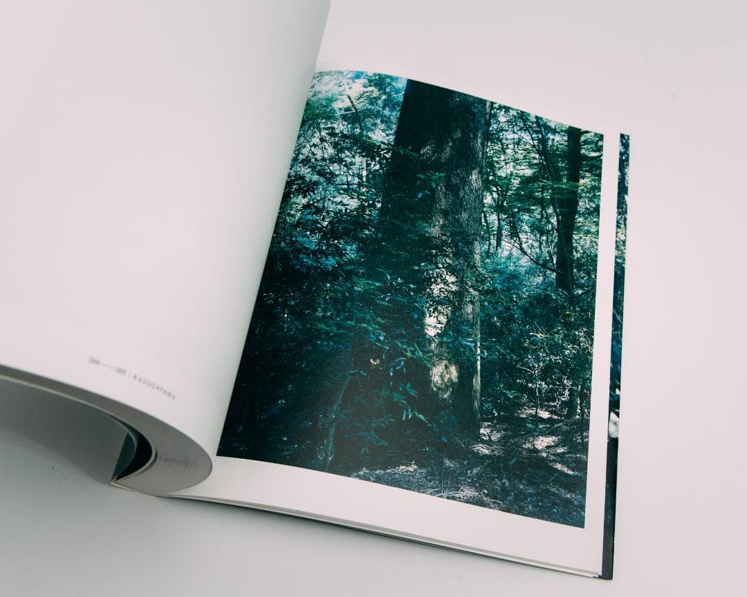 上田義彦写真集 FOREST 印象と記憶 1989-2017
