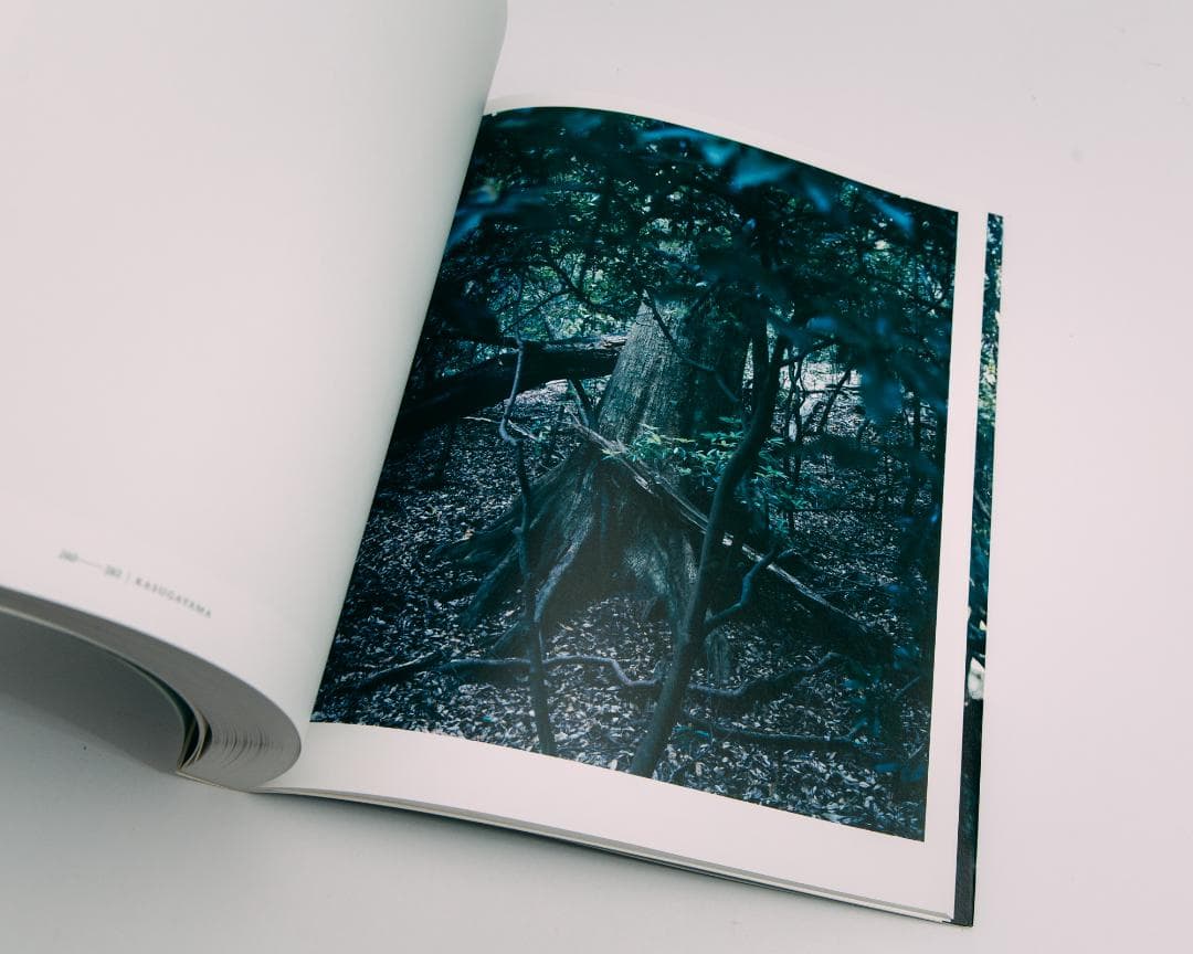 上田義彦写真集 FOREST 印象と記憶 1989-2017