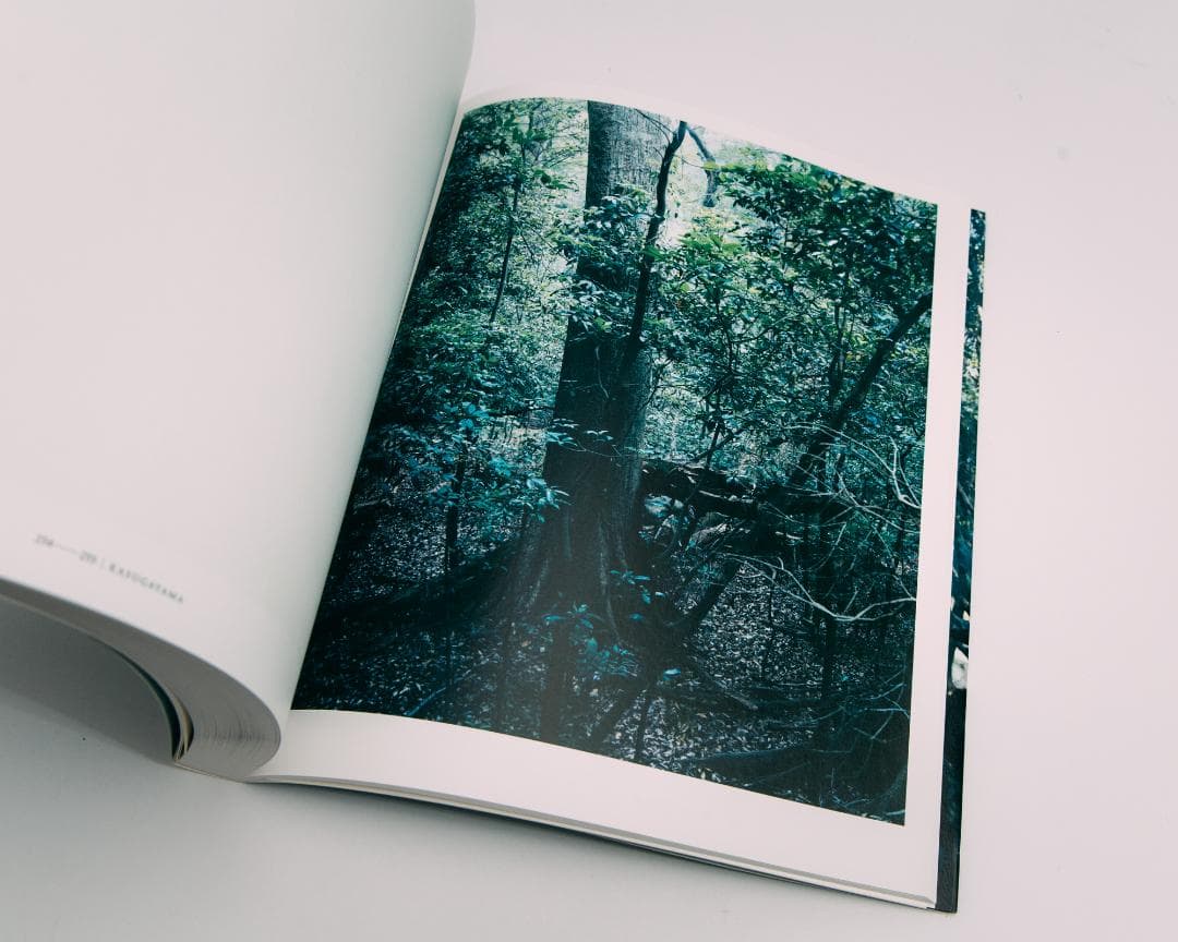 上田義彦写真集 FOREST 印象と記憶 1989-2017