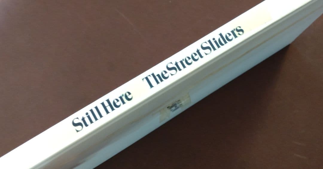 【The Street Sliders】Still Here 10周年 写真集