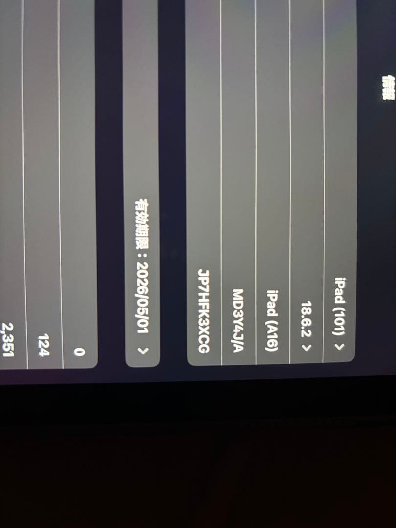Apple pencil付き Apple iPad (A16) 128GB 本体