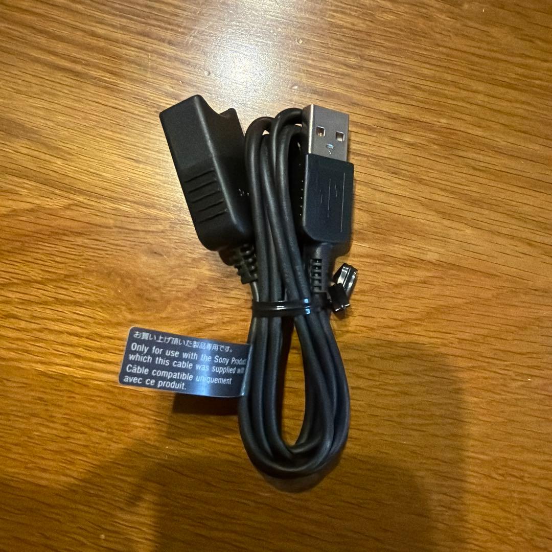 Sony Handycam HDR-CX560V 箱以外の付属品完備