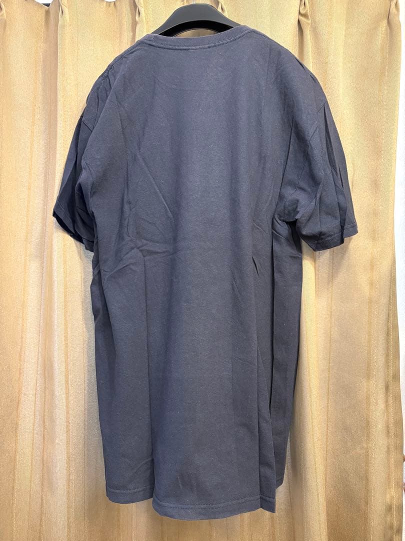 STUSSY テイ・トウワ　コラボTシャツ　Lサイズ