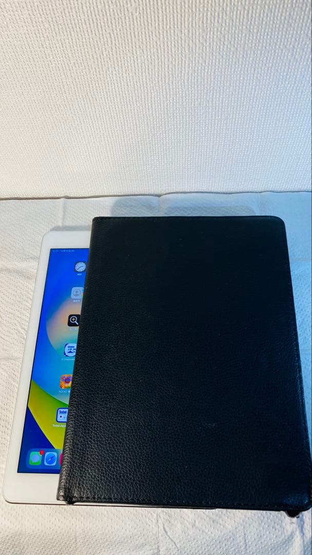 Apple iPad Pro 第1世代128GB Wi-Fi