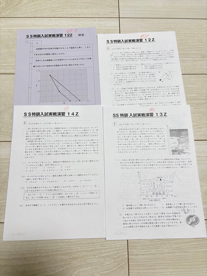 サピックス　理科プリント　6年　開成クラス　SS特訓