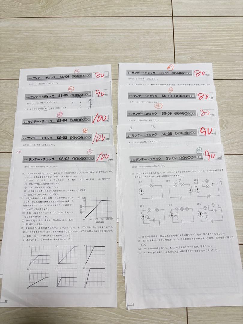 サピックス　理科プリント　6年　開成クラス　SS特訓