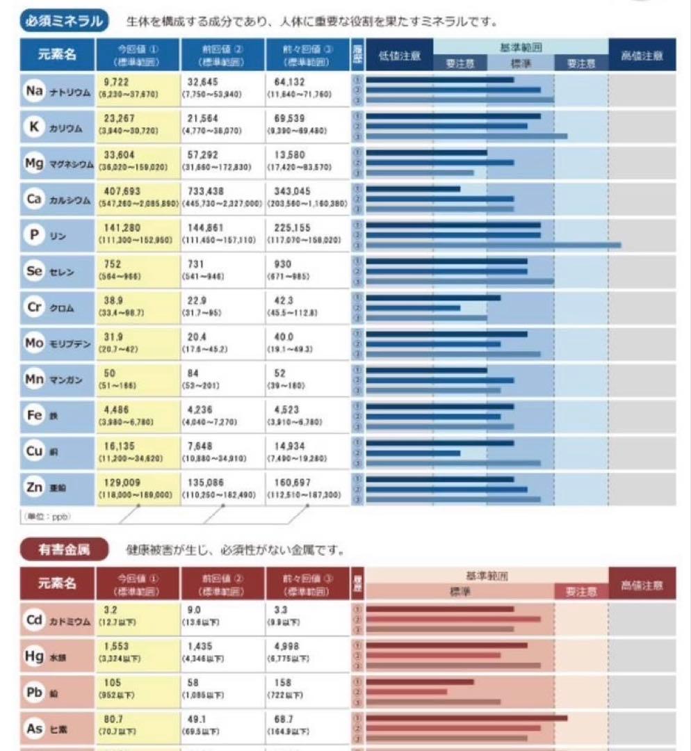 【特価】毛髪ミネラル検査キット★ら・べるびぃ予防医学研究所