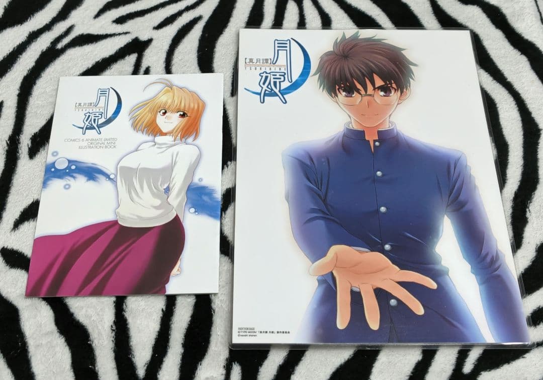 真月譚 月姫 全10巻 小冊子 イラストシート(ラミネート)TYPE-MOON