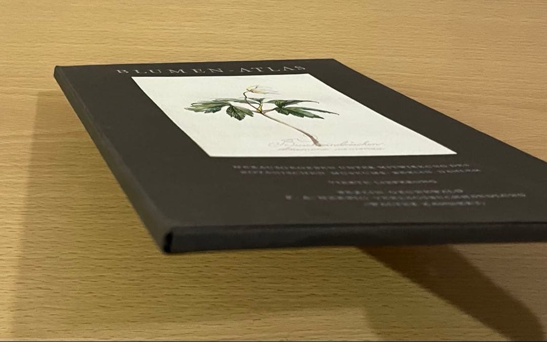 No.436ドイツ ヴィンテージ 紙もの ボタニカルアート 植物図鑑 水彩画