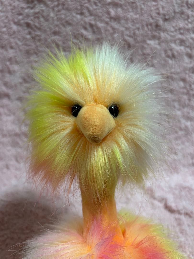 ぬいぐるみ QuoN Spiced & Sorbet & Rainbow Pompom