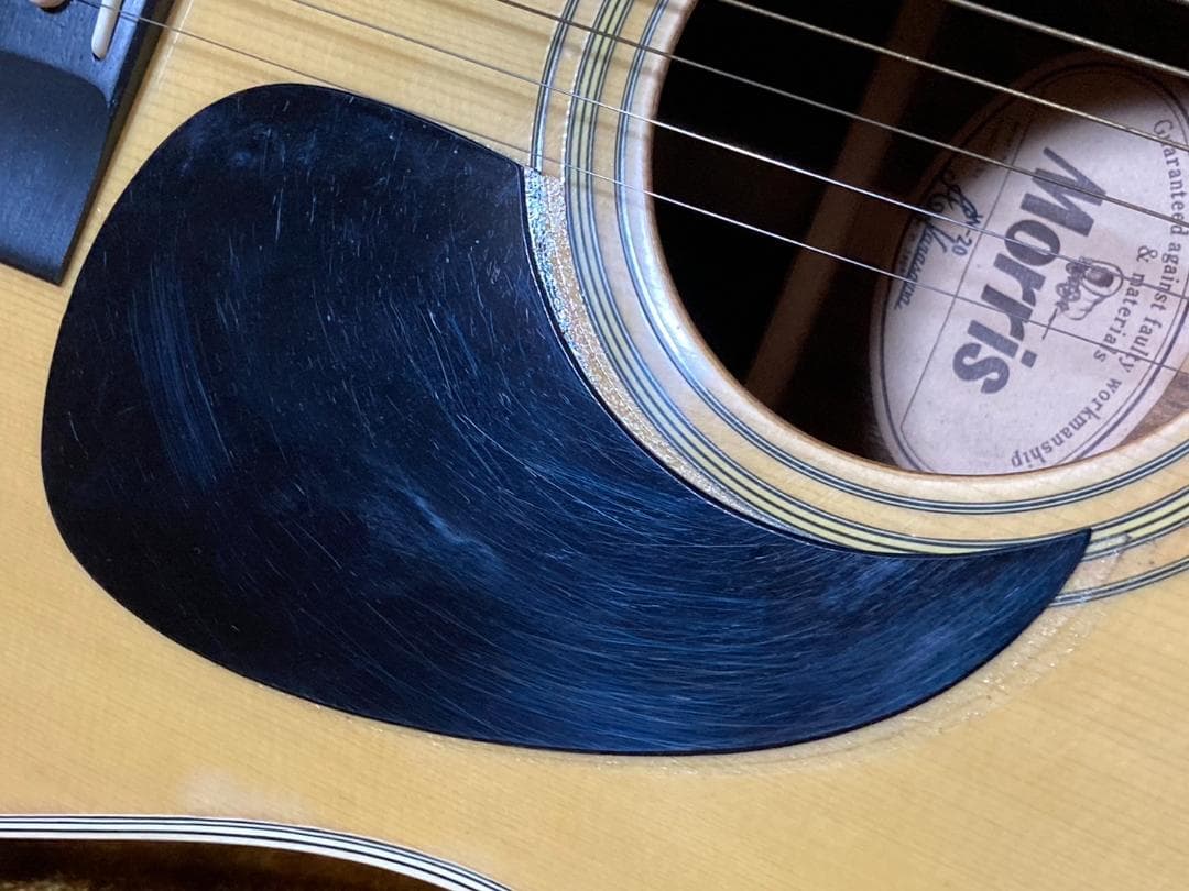 Morris アコースティックギター W-20