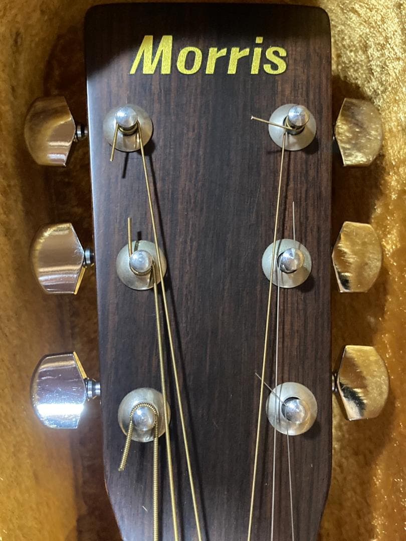 Morris アコースティックギター W-20
