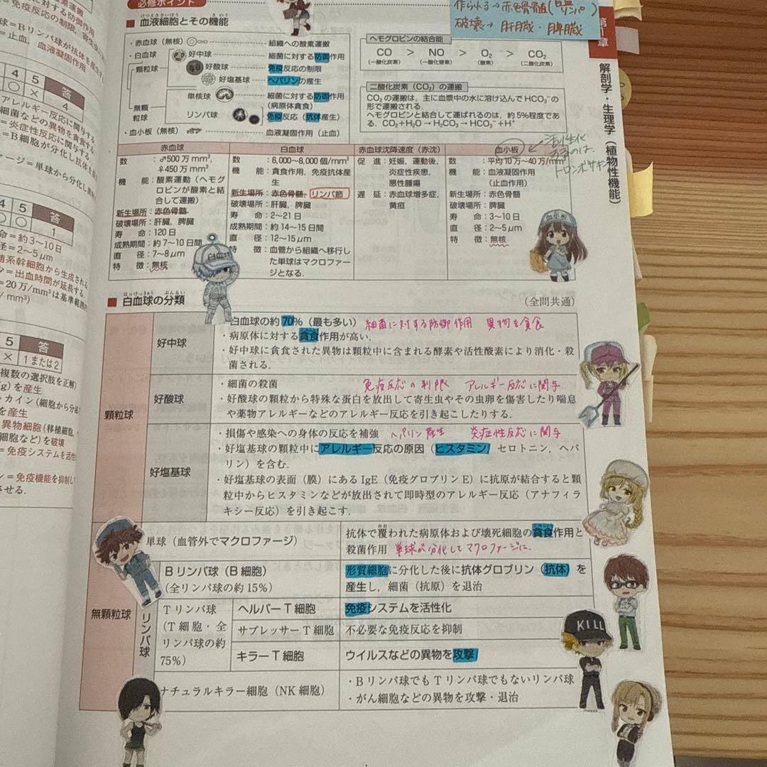作業療法士国家試験対策 2024・2025 4冊セット　医歯薬出版