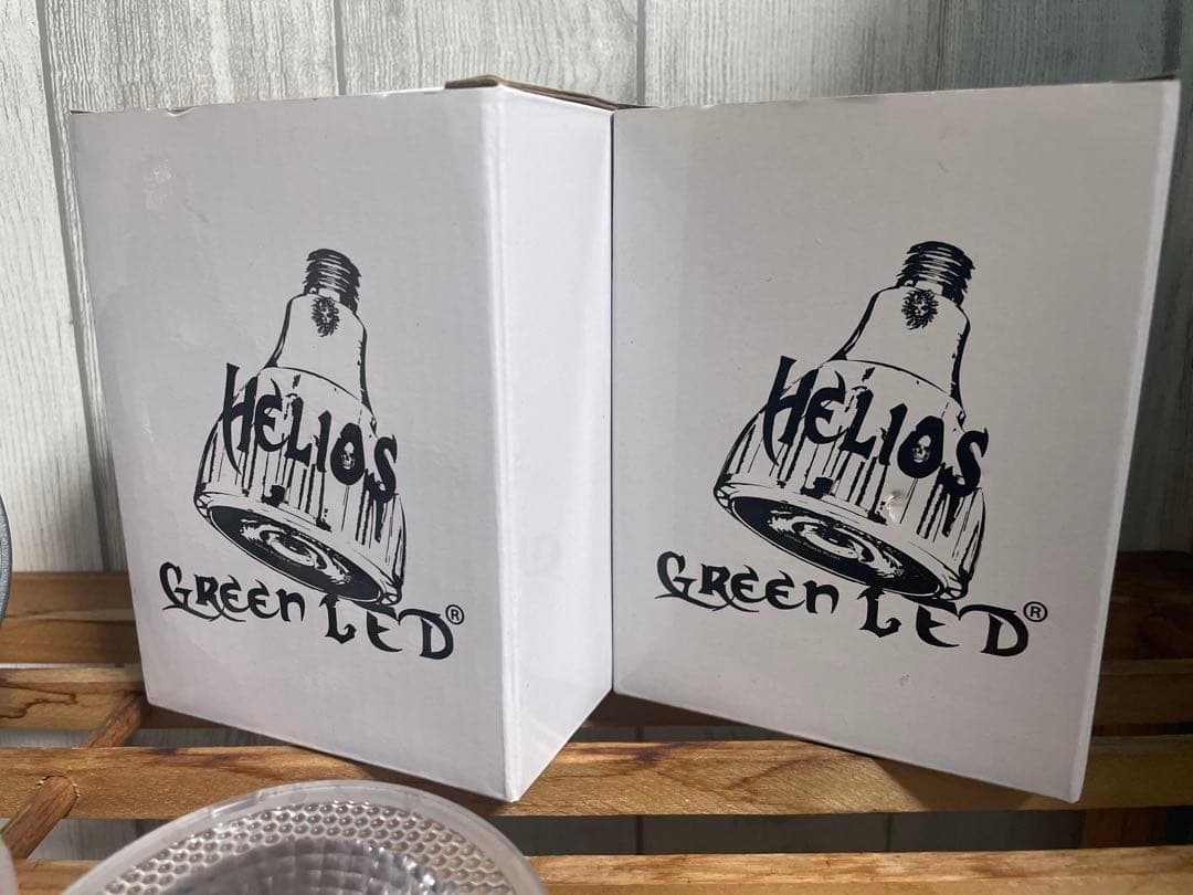 Helios Green LED 電球(広角レンズ付き)2個セット