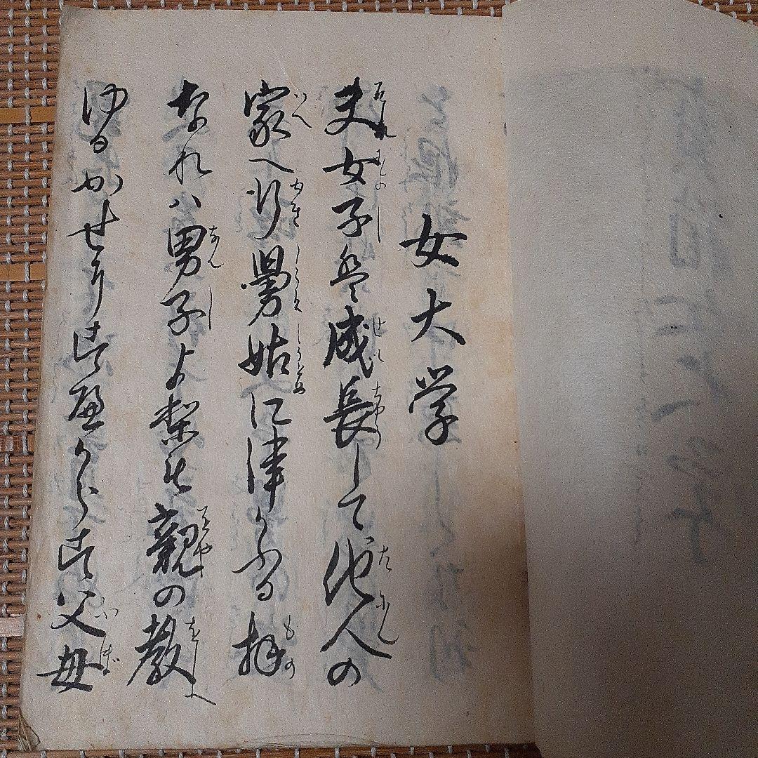 宝箱女大学