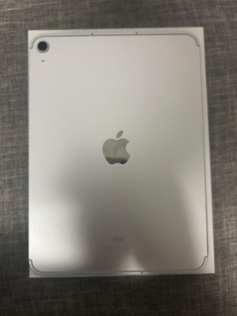 シルバー iPad 10世代10.9イン