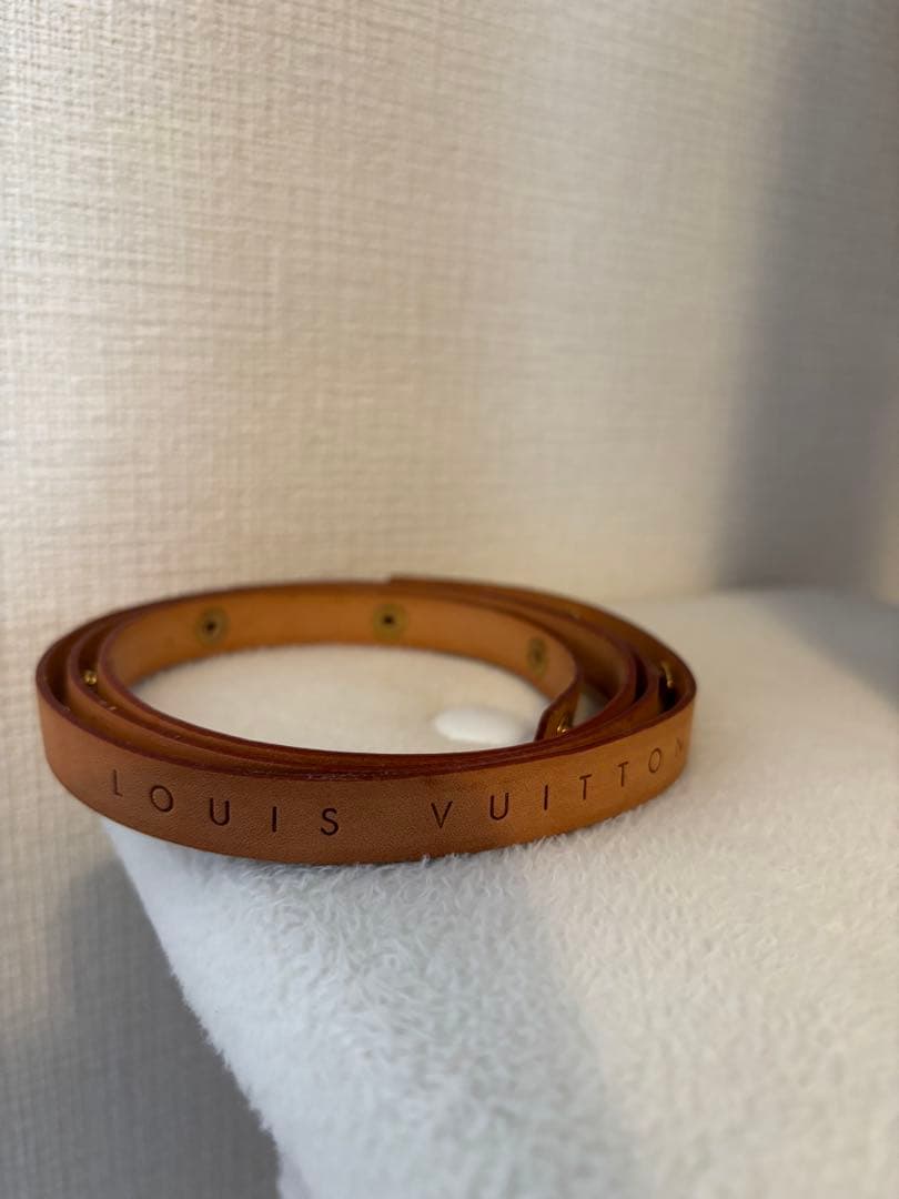 Louis Vuitton ボディバッグ　ウエストポーチ　フロランティーヌ