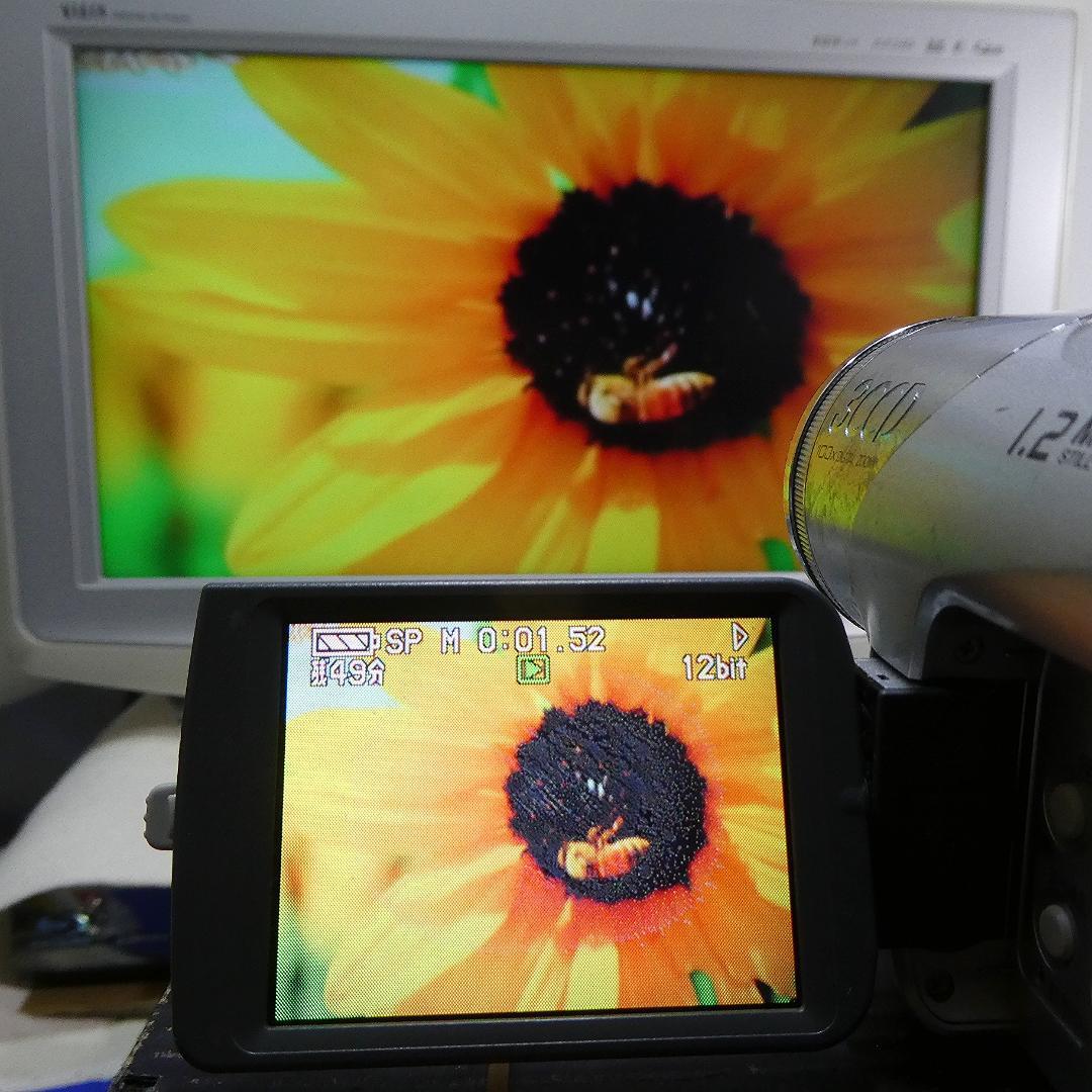 パナソニック NV-GS120【動作良好】 MiniDVビデオ　ダビングに最適