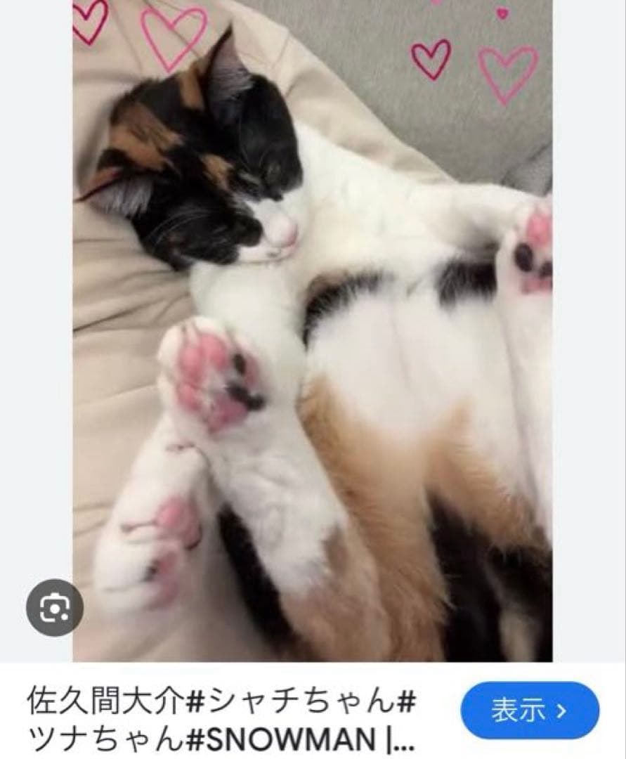 【猫耳帽 HG ピンク】 【雪だるま 双子 青 赤】【耳が動く兎 ピンク 黄】