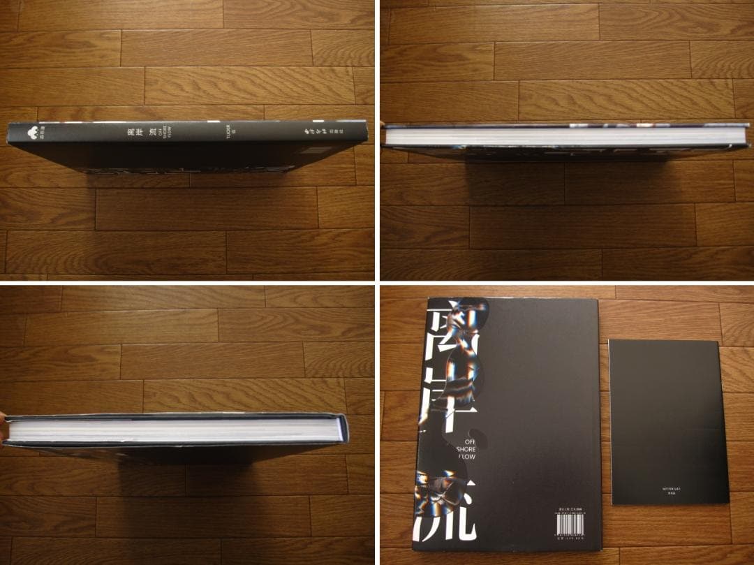TUOER 画集 離岸流　非売品 ミニ画集付　离岸流　TUOER.托兒