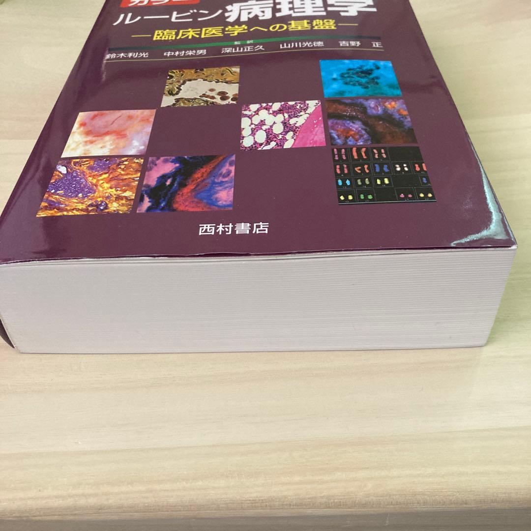 ★美品★ カラー　ルービン病理学　臨床医学への基盤　西村書店