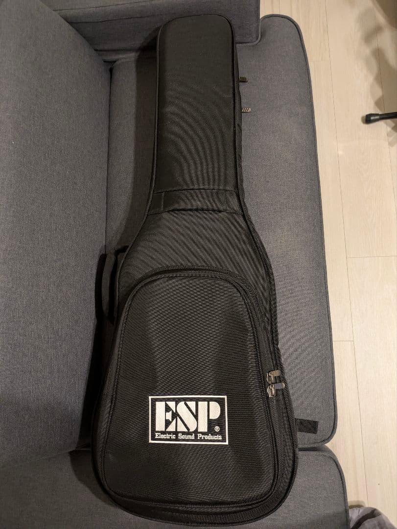 E-II HORIZON FR-II / Black Sunburst　未使用品