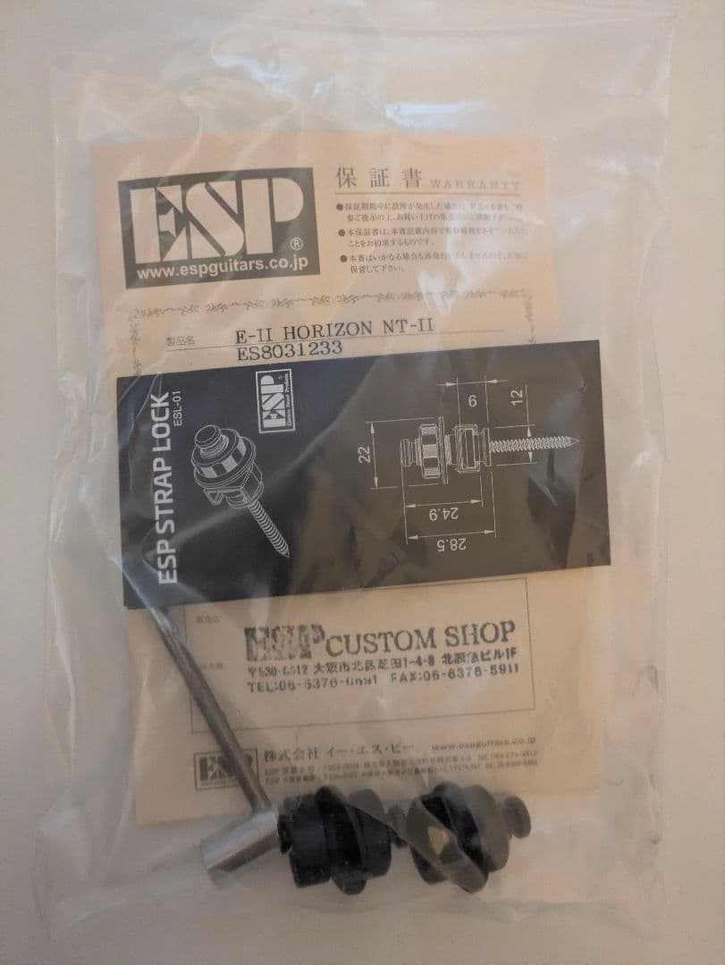 E-II HORIZON FR-II / Black Sunburst　未使用品