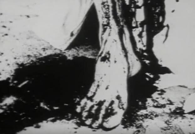 BEGOTTEN DVD ホラー グロテスク スプラッター