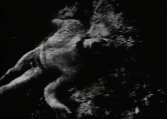 BEGOTTEN DVD ホラー グロテスク スプラッター